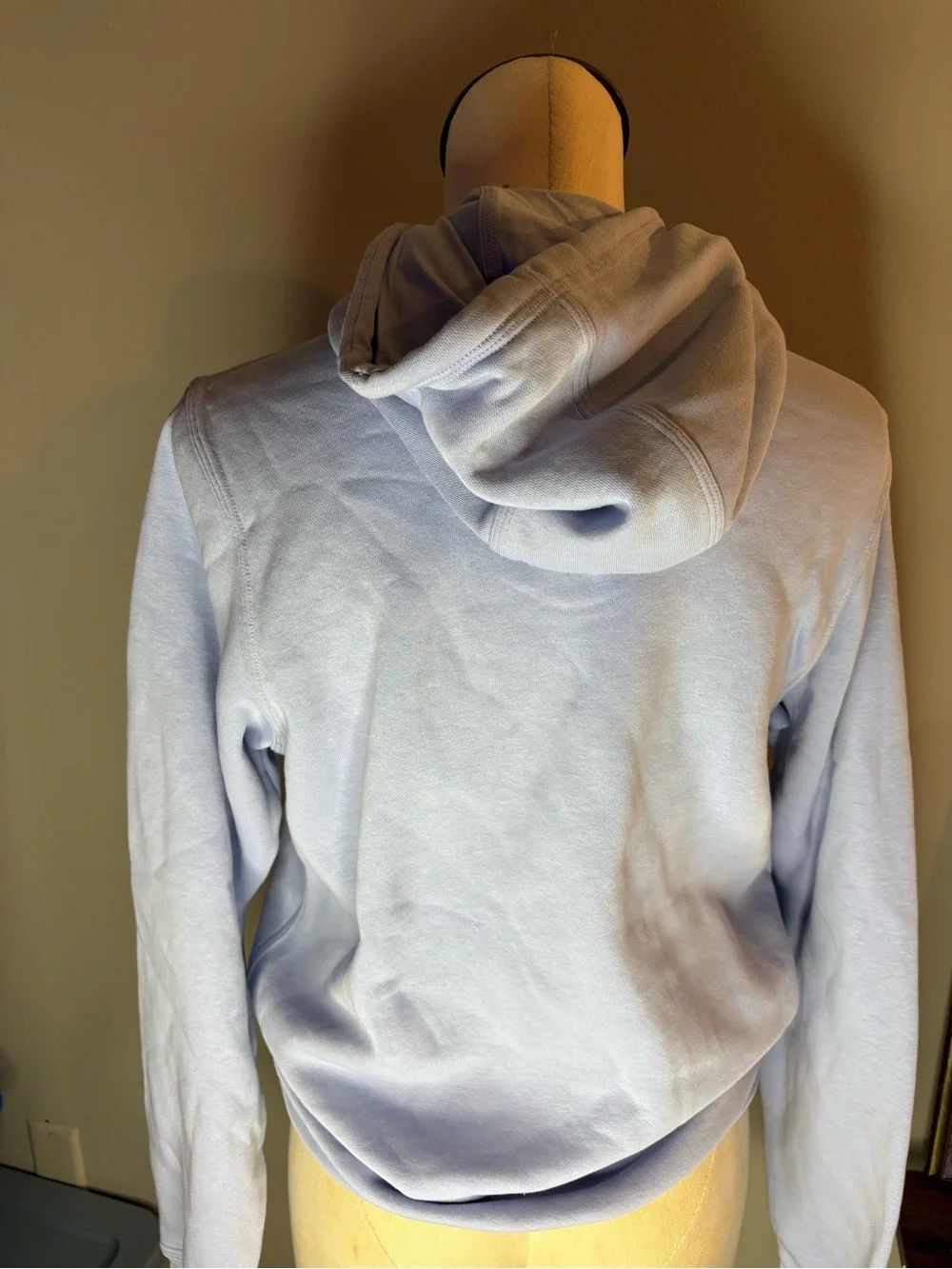 Nike women’s Pastel Blue Pullover Hoodie